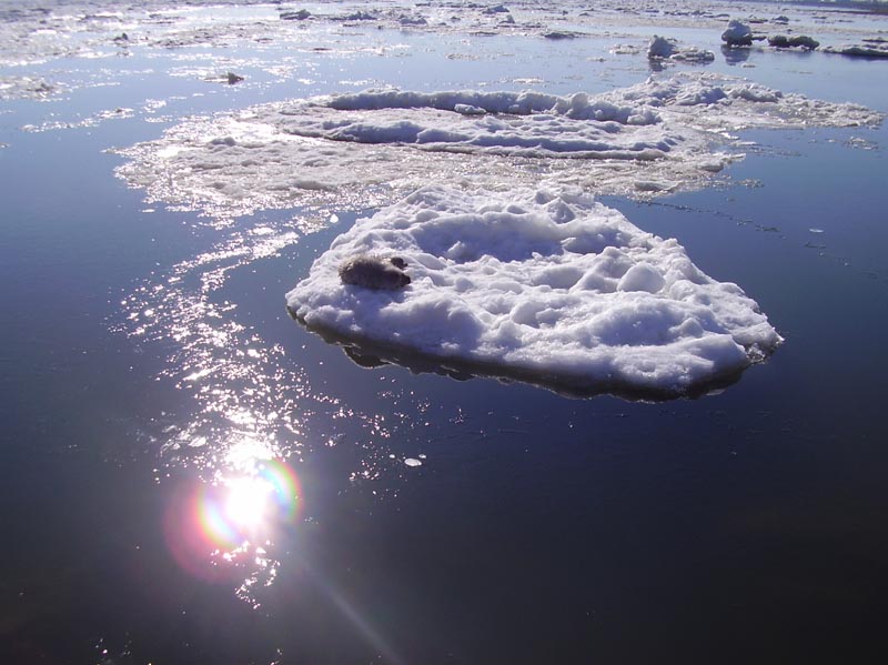 Saaremaa 24-25.03.07 048